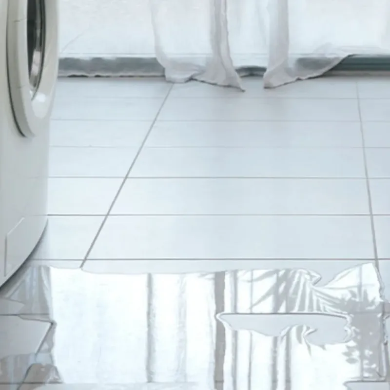 Appliance Leak Cleanup in Scotland Neck, NC