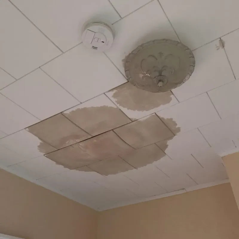 Ceiling Water Damage Repair in Scotland Neck, NC