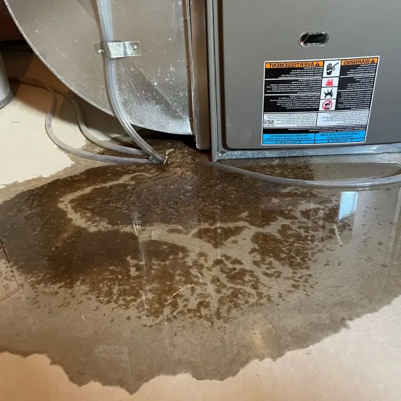 Pipe Burst and Leak Restoration in Scotland Neck, NC
