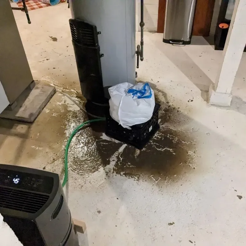 Sewage Backup Cleanup Service in Scotland Neck, NC
